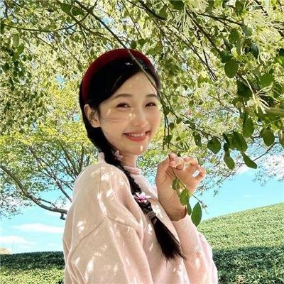 精灵守护者最终章
